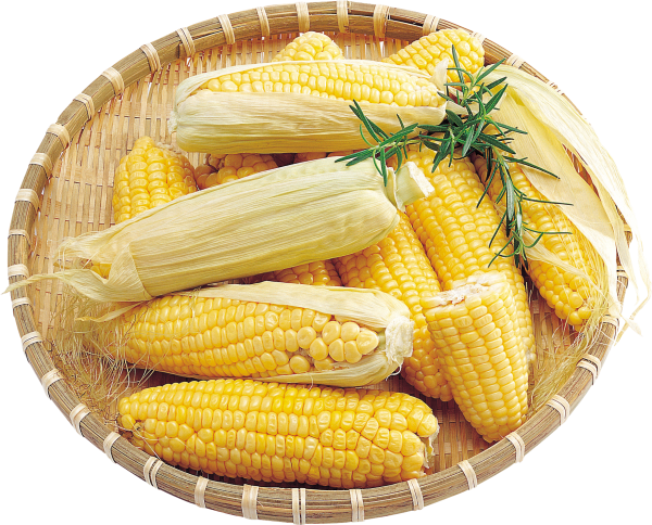 corn png free download 38