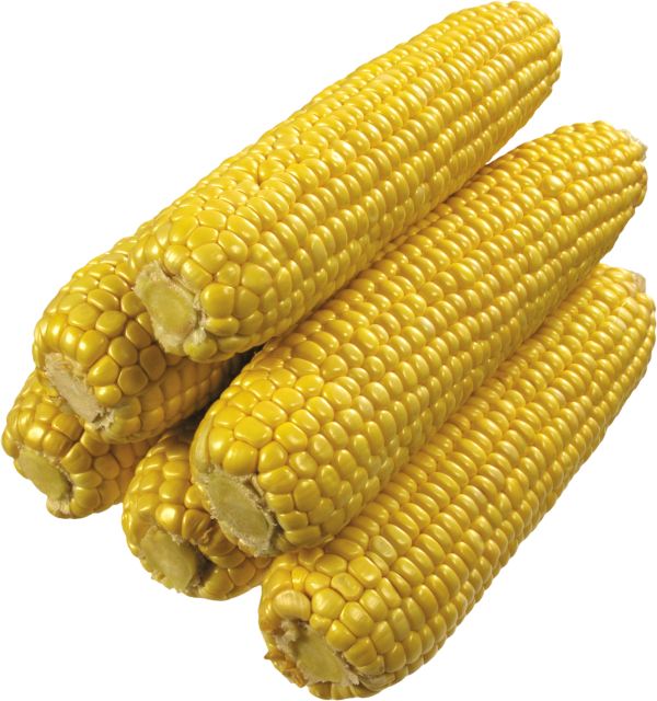 corn png free download 5