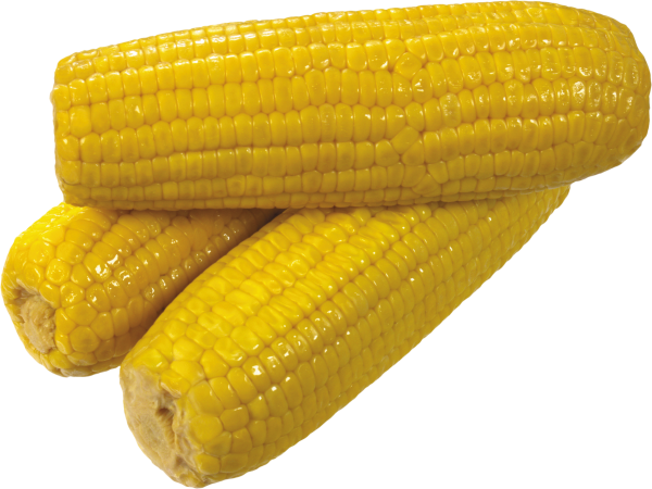 corn png free download 6