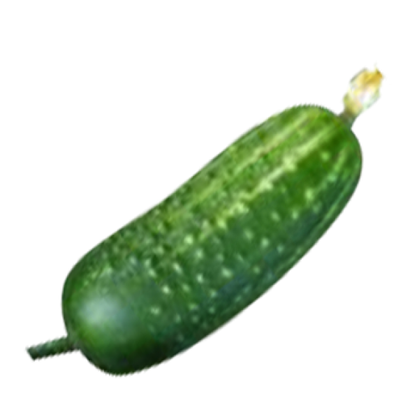 cucumber png free download 16