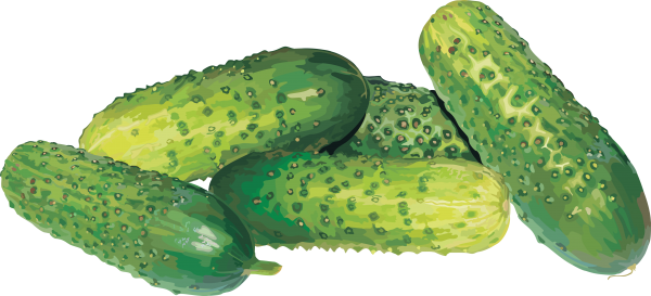 cucumber png free download 31