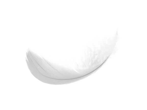 Curly Feather Png Download