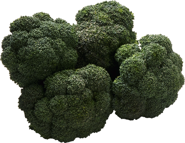 dark green broccoil free png download