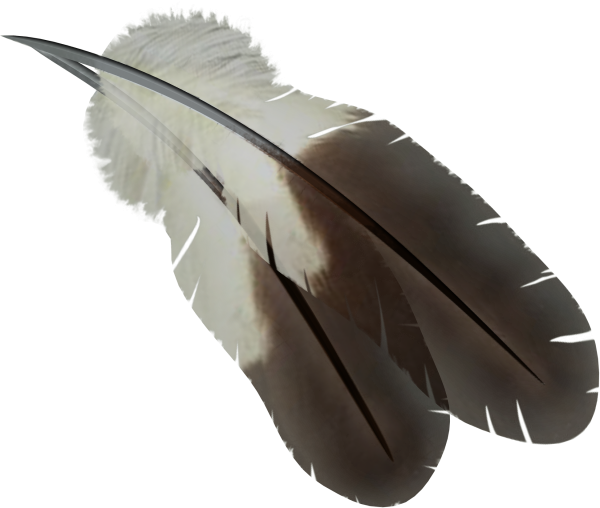 Drawed Feather Png