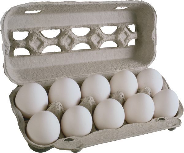 egg png free download 1