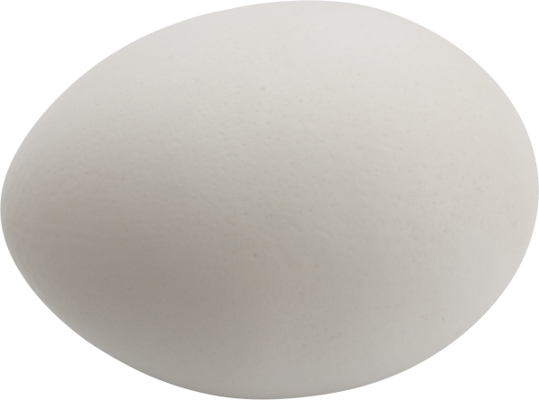 egg png free download 11