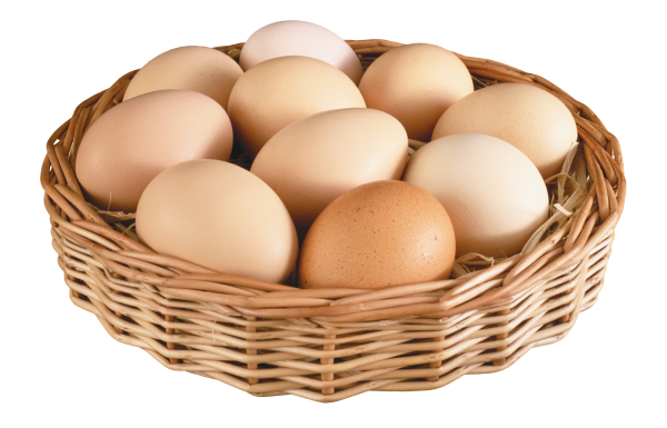 egg png free download 15