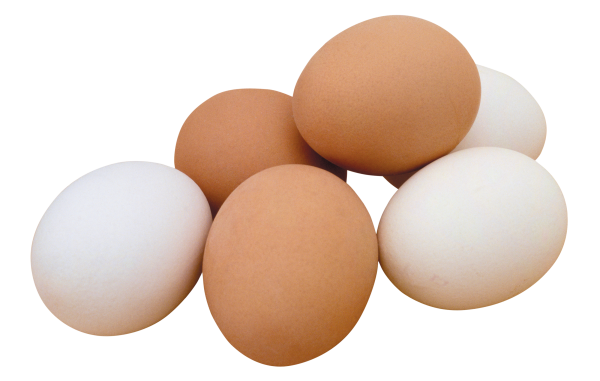 egg png free download 16