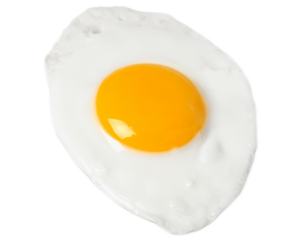egg png free download 23