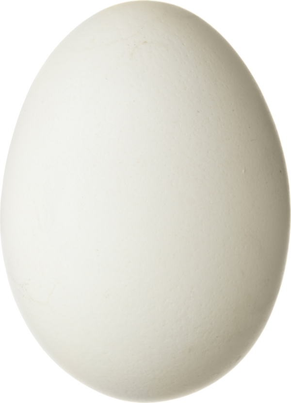 egg png free download 24