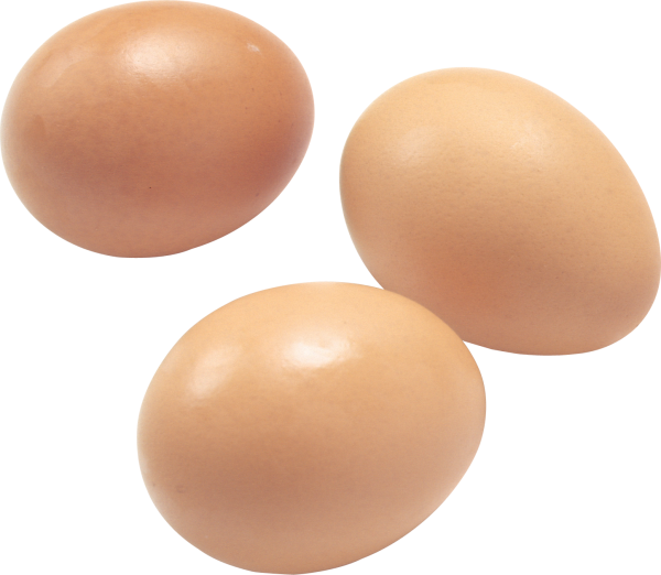 egg png free download 27