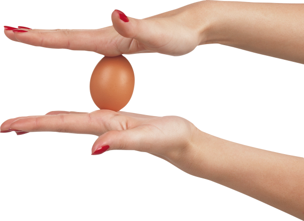 egg png free download 30