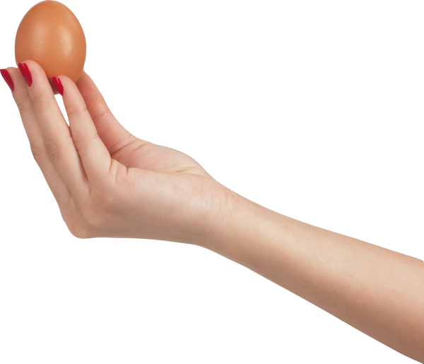 egg png free download 33