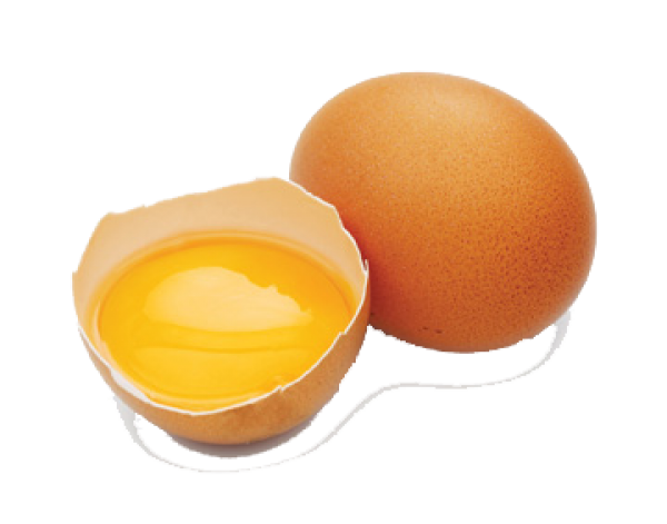 egg png free download 37