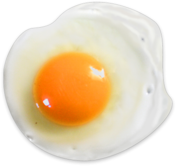 Fried Egg PNG - Free Download