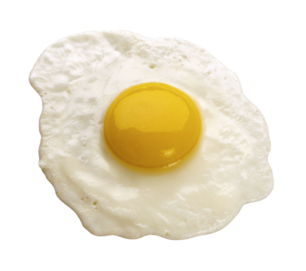 egg png free download 40