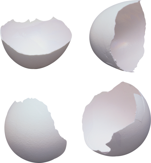 egg png free download 43