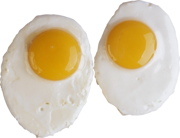 egg png free download 5