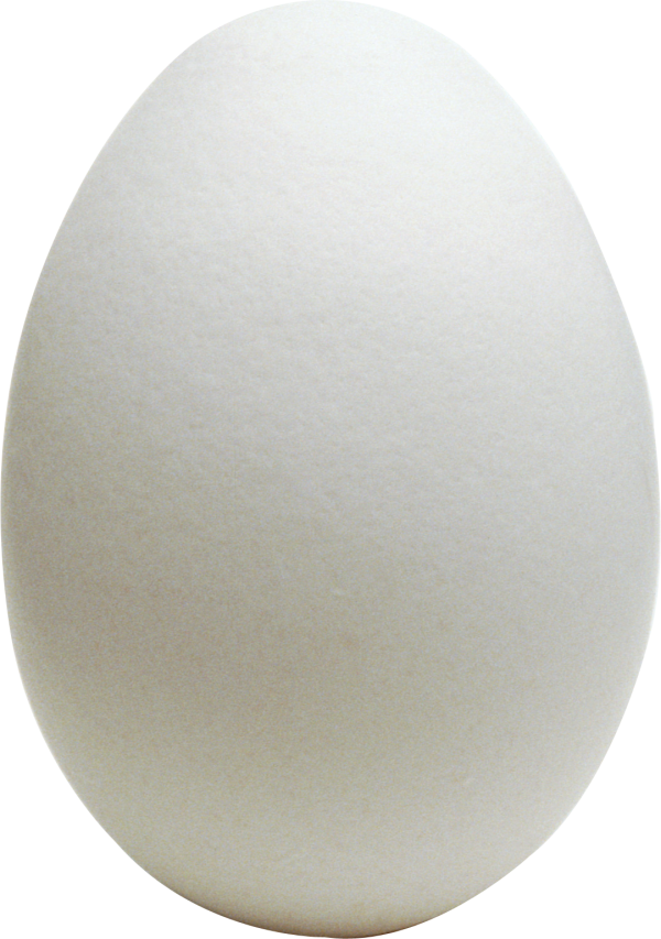 egg png free download 7