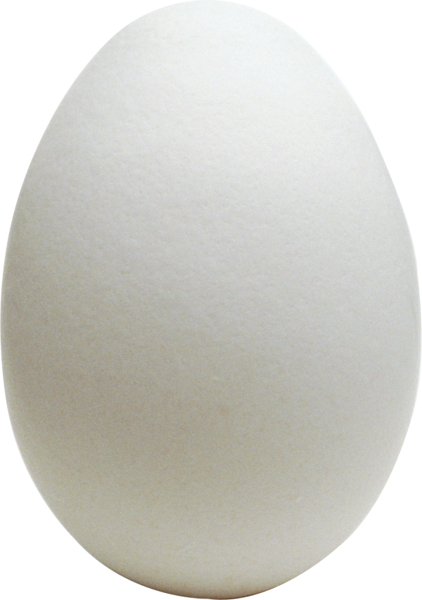 Egg PNGs for Free Download