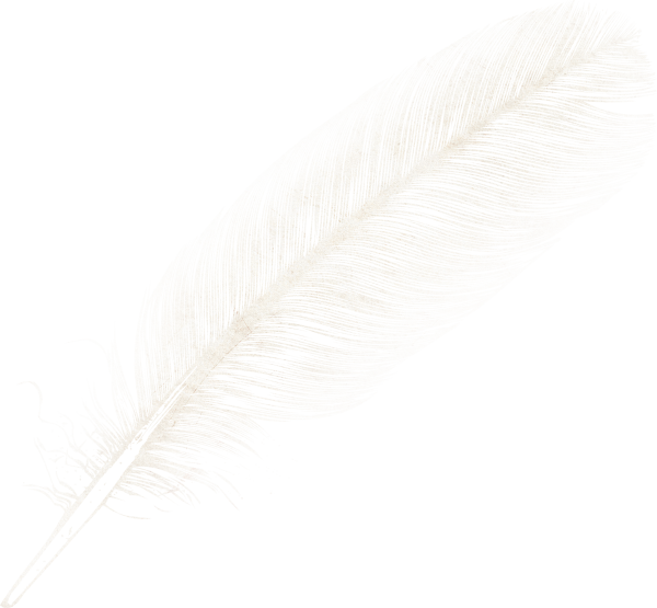 Feather Clipart Image Download