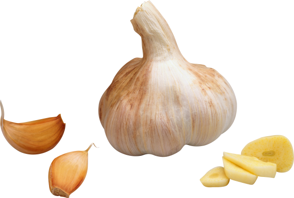 Garlic Free PNG Image Download 10