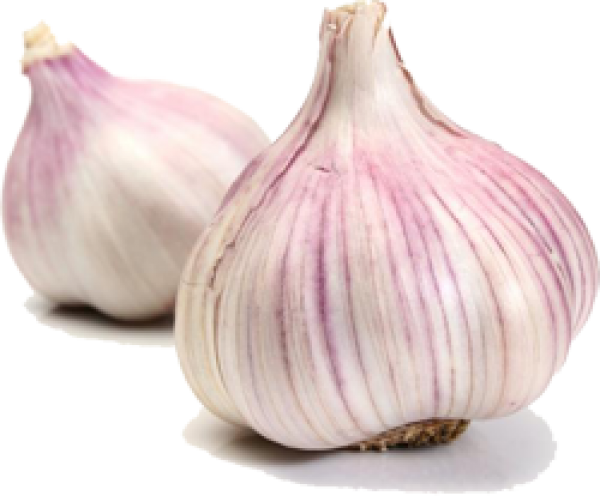 Garlic Free PNG Image Download 15