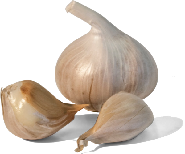 Garlic Free PNG Image Download 22