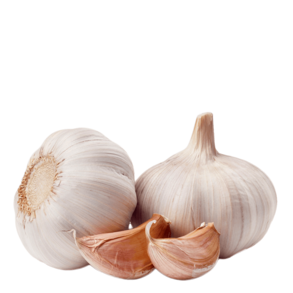 Garlic Free PNG Image Download 3