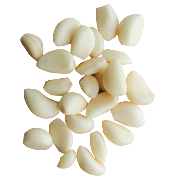 Garlic Free PNG Image Download 43