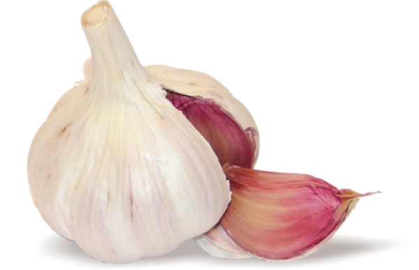 Garlic Free PNG Image Download 7