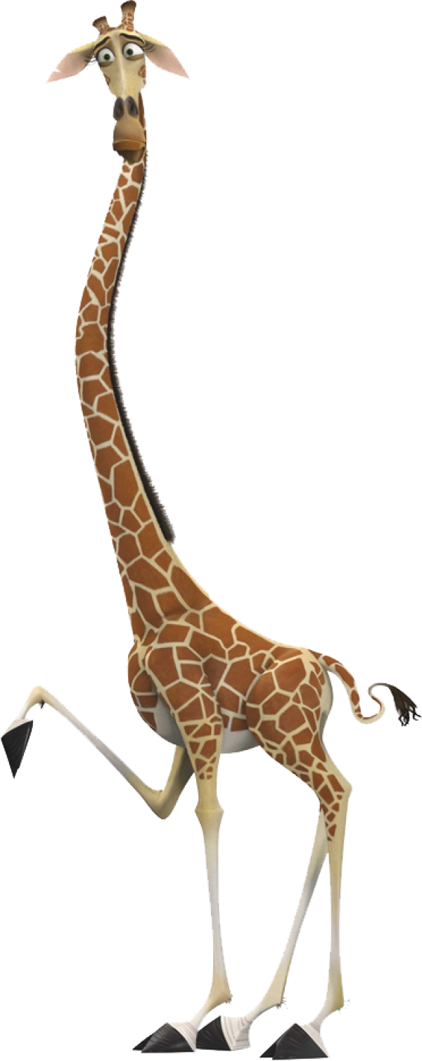 Giraffe Free PNG Image Download 15