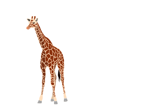 Giraffe Free PNG Image Download 4
