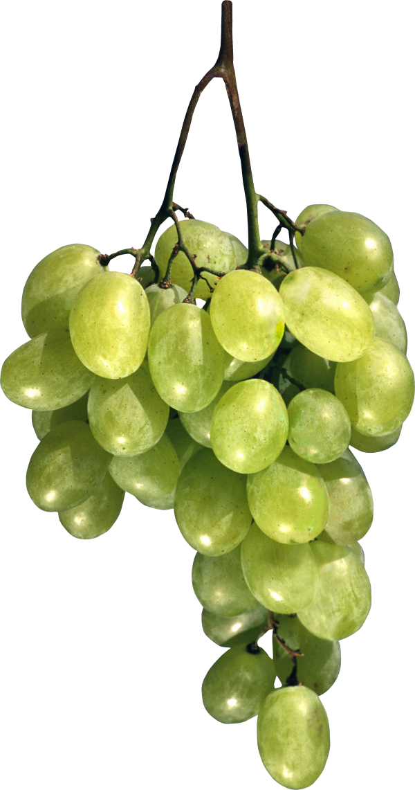 Grape Free PNG Image Download 1