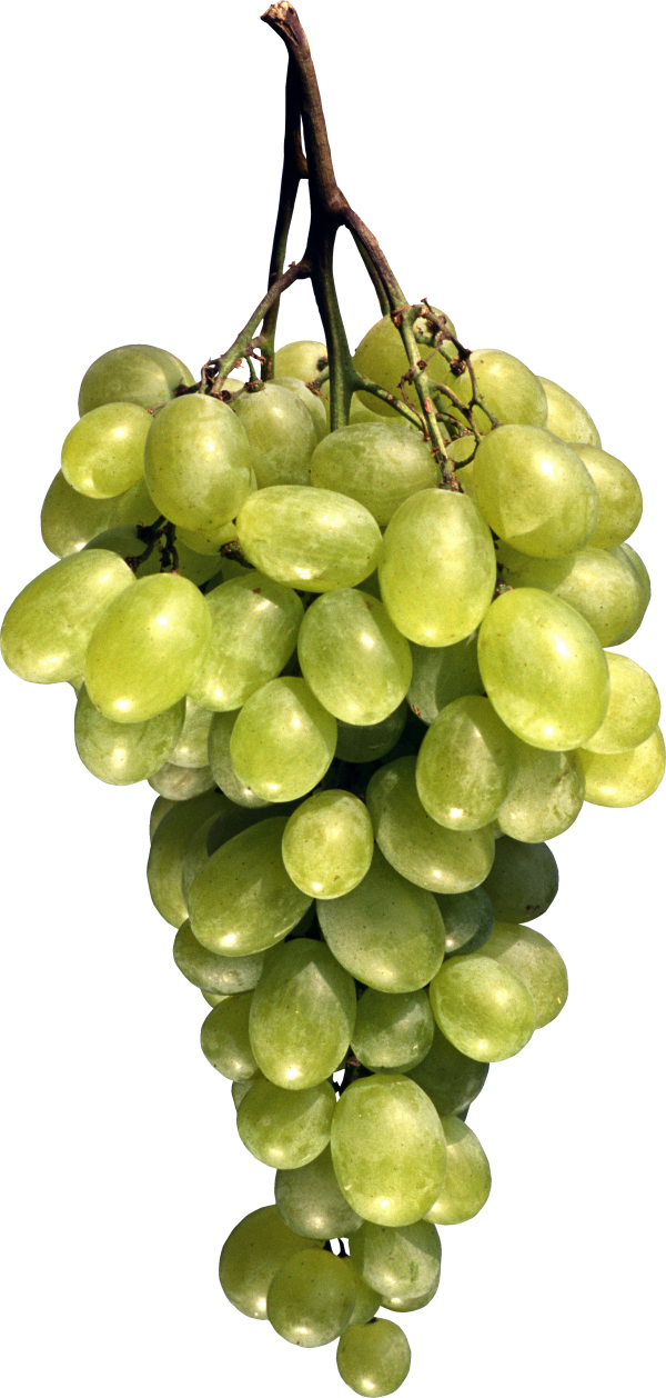 Grape Free PNG Image Download 15