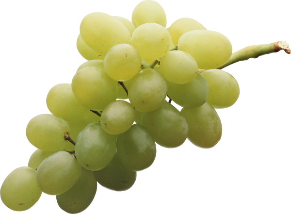 Grape Free PNG Image Download 22