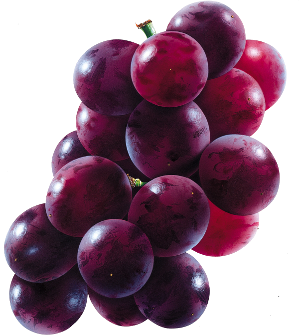 Grape Free PNG Image Download 25