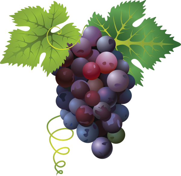 Grape Free PNG Image Download 29