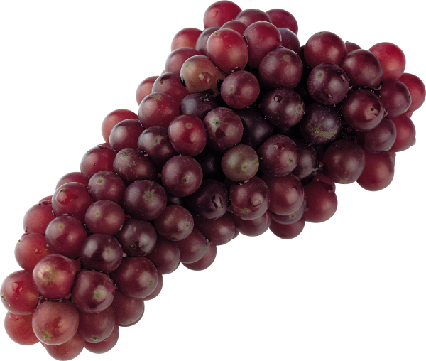 Grape Free PNG Image Download 3