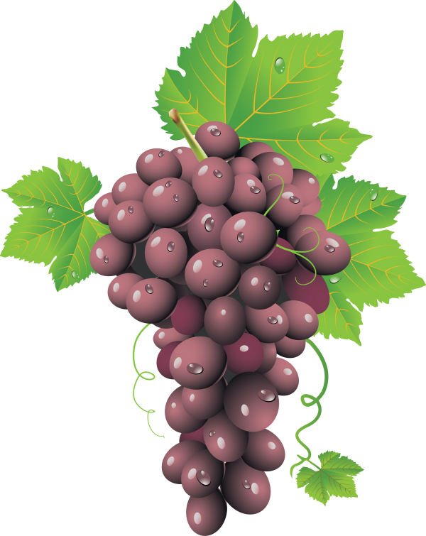 Grape Free PNG Image Download 33