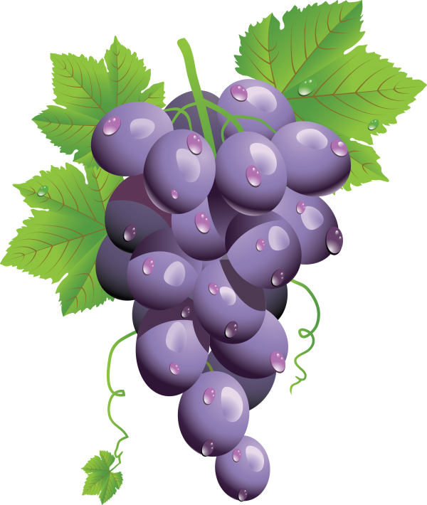 Grape Free PNG Image Download 35