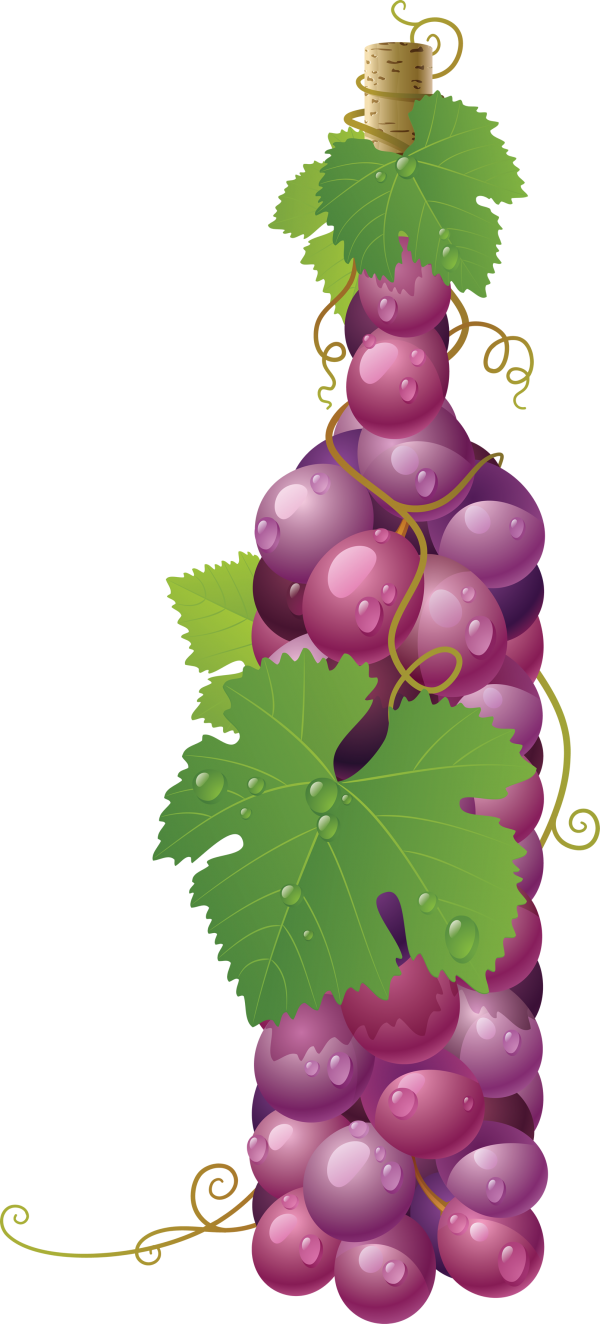 Grape Free PNG Image Download 38