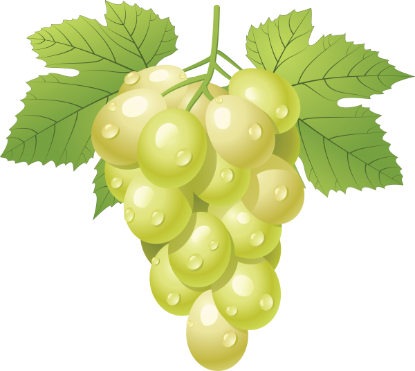 Grape Free PNG Image Download 39