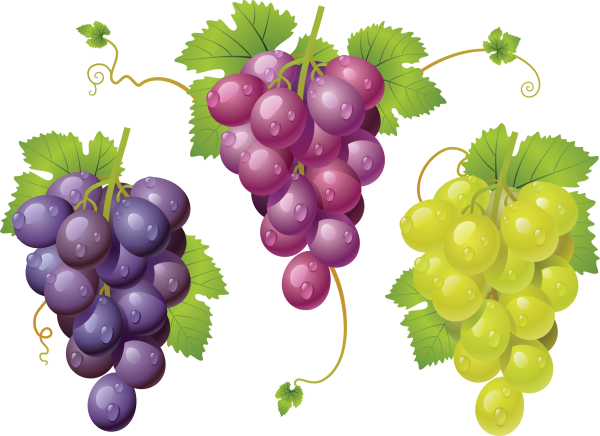 Grape Free PNG Image Download 40