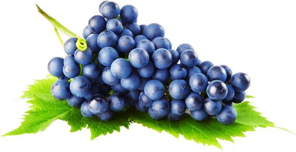 Grape Free PNG Image Download 41