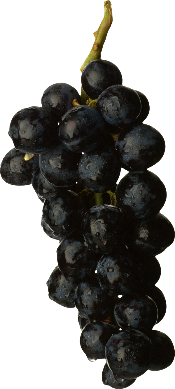 Grape Free PNG Image Download 43