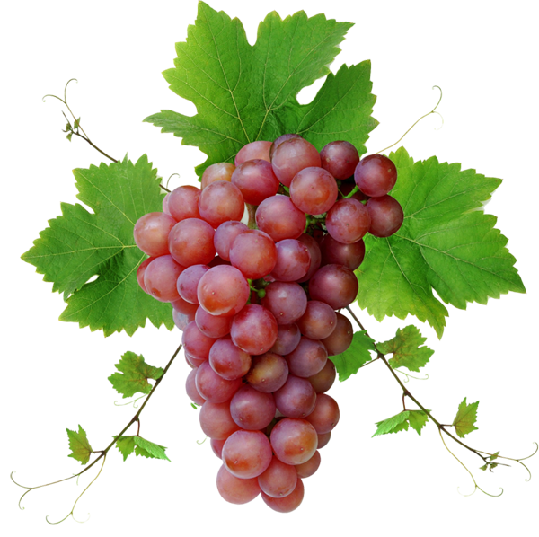 Grape Free PNG Image Download 45