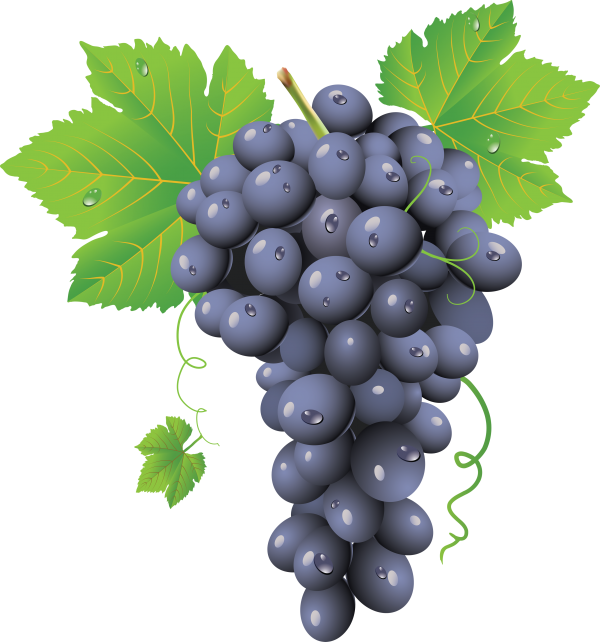 Grape Free PNG Image Download 6