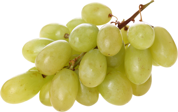 Grape Free PNG Image Download 9