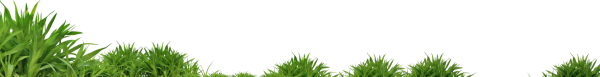Grass Free PNG Image Download 10